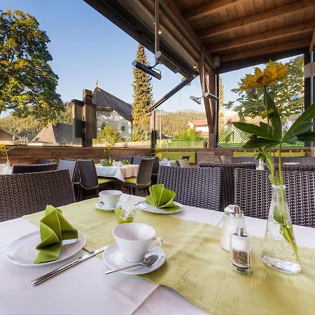 Garni Montana 4*